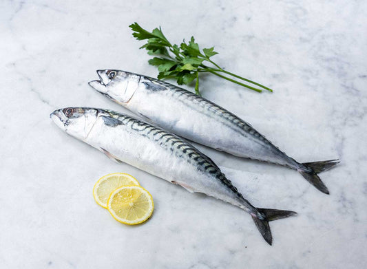 Fresh English Mackerel 100g